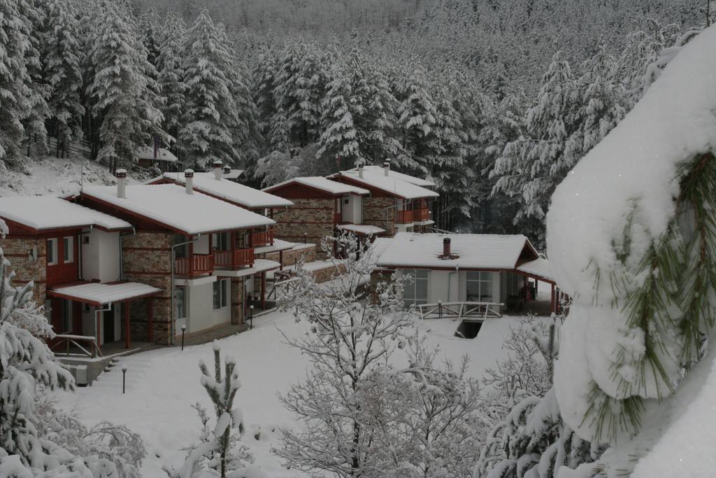 Guesthouses Prav Kamen Dolno Drjanovo Kültér fotó