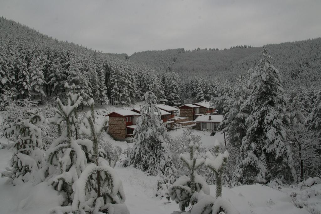 Guesthouses Prav Kamen Dolno Drjanovo Kültér fotó