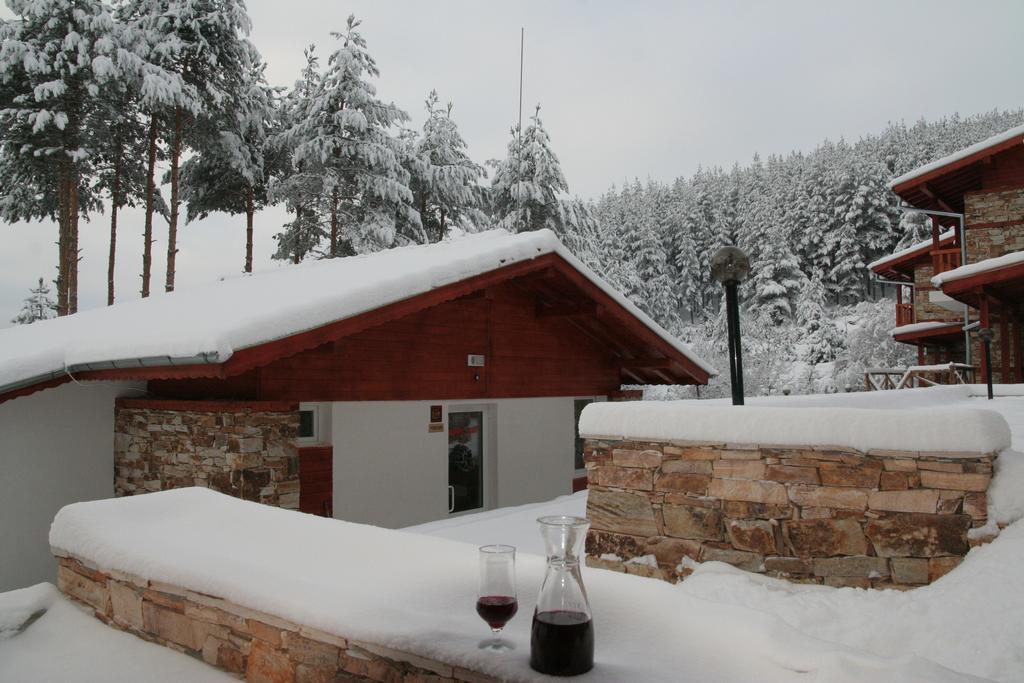 Guesthouses Prav Kamen Dolno Drjanovo Kültér fotó