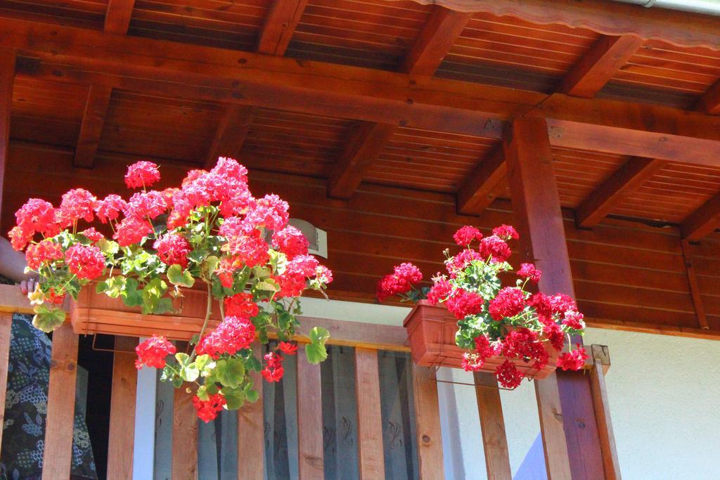Guesthouses Prav Kamen Dolno Drjanovo Kültér fotó